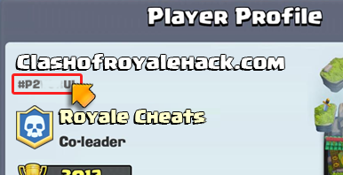 player tag
